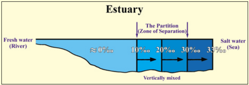 The Holy Quran on Seas and Rivers